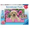 Bon marché ⌛ Ravensburger Puzzles 2x24 p - amis tout doux 🎉 -Ravensburger Soldes Boutique 4005556050291 1