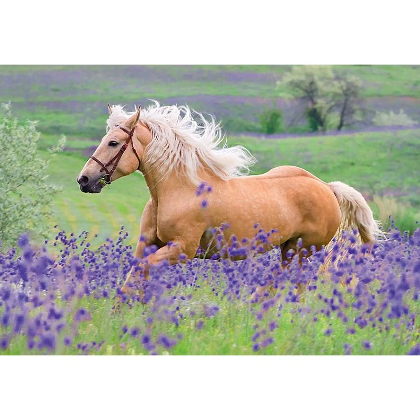 Bon marché ❤️ Ravensburger Puzzles 2X24 P - L'amour Des Chevaux 😍 4 Bon marché ❤️ Ravensburger Puzzles 2X24 P - L'amour Des Chevaux 😍 – Image 2