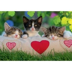 Budget 👏 Ravensburger 2x24 p Chatons au repos puzzle ✨ -Ravensburger Soldes Boutique 4005556078011 3