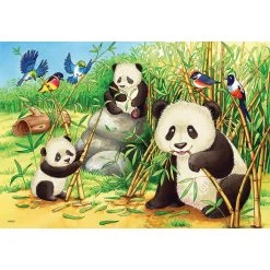 Tout neuf 🛒 Ravensburger Puzzles 2X24 P - Mignons Koalas Et Pandas ⭐ -Ravensburger Soldes Boutique 4005556078202 4