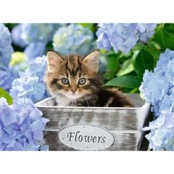 Promo ⌛ Ravensburger Puzzle 300 p XXL - Petit chaton 🎁 -Ravensburger Soldes Boutique 4005556128945 2
