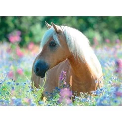 Tout neuf 🎁 Ravensburger Puzzle 300 P Xxl - Cheval Dans La Prairie 💯 -Ravensburger Soldes Boutique 4005556132942 3
