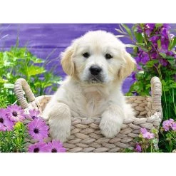 Remise ⭐ Ravensburger Puzzle Puzzle 500 p - Doux Golden Retriever 😀 -Ravensburger Soldes Boutique 4005556148295 2