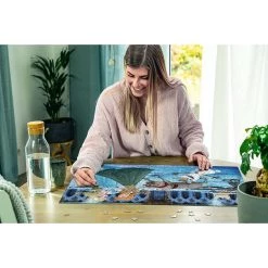 Tout neuf ✨ Ravensburger La Reine des neiges - Puzzle Collector's Edition Anna, Elsa, Kristoff, Olaf et Sven (1000 pièce 😉 -Ravensburger Soldes Boutique 4005556164882 4