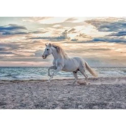 Remise 🛒 Ravensburger Puzzle 500 p - cheval sur la plage ✔️ -Ravensburger Soldes Boutique 4005556165865 3