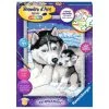 Les meilleures critiques de 🌟 Ravensburger Numéro D'art - Moyen - Doux Bisous De Husky 😍 -Ravensburger Soldes Boutique 4005556286805 1