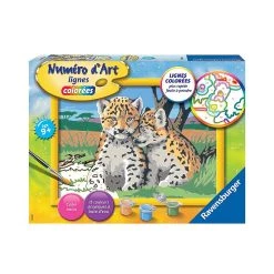 Top 10 👏 Ravensburger Numéro D'art - Moyen - Petits Léopards ❤️