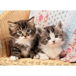 Vente flash 👍 Ravensburger Puzzle 100 P - Duo De Chatons 😀 -Ravensburger Soldes Boutique 4005556867660 3