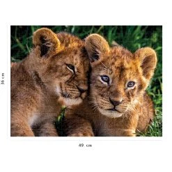Meilleure vente 😍 Nathan Puzzle 250 p - Adorables lionceaux ✔️ -Ravensburger Soldes Boutique 4005556868810 2