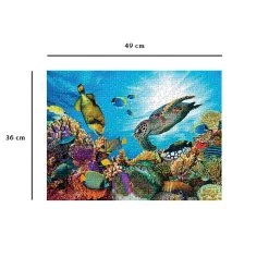 Meilleure vente 🛒 Ravensburger Puzzle N 500 P - Le Récif Corallien 👍 -Ravensburger Soldes Boutique 4005556871131 6