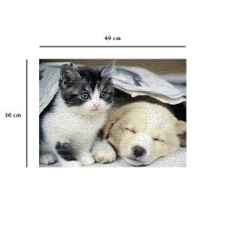 Les meilleures critiques de 💯 Ravensburger Puzzle N 500 P - Réveille-Toi ⭐ -Ravensburger Soldes Boutique 4005556871292 7