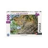 Meilleur prix 😀 Ravensburger Puzzle N 500 P - Les Yeux Du Léopard 😉 1 Meilleur prix 😀 Ravensburger Puzzle N 500 P - Les Yeux Du Léopard 😉 -Ravensburger Soldes Boutique 4005556871315 1