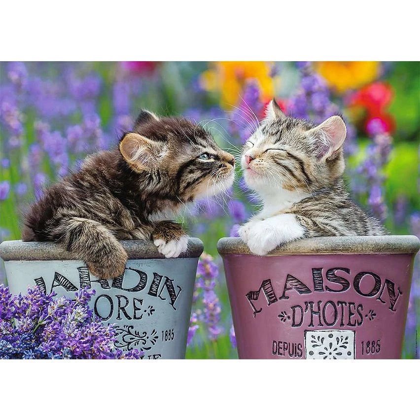 Coupon 😉 Nathan - Puzzle Adulte - Puzzle N 1000 p - Bisous de chatons - 87624 ⭐ 4 Coupon 😉 Nathan - Puzzle Adulte - Puzzle N 1000 p - Bisous de chatons - 87624 ⭐ – Image 2