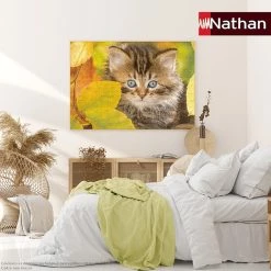 Meilleur prix 🌟 Nathan Puzzle Puzzle N 1500 p - Chaton en automne ✨ -Ravensburger Soldes Boutique 4005556878031 5
