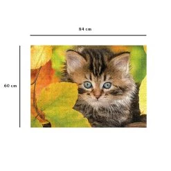 Meilleur prix 🌟 Nathan Puzzle Puzzle N 1500 p - Chaton en automne ✨ -Ravensburger Soldes Boutique 4005556878031 6